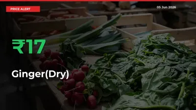 Why Ginger(Dry) Prices Rose 17.32% in a Day at Mandis