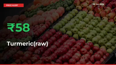 Sharp Jump! Turmeric(raw) Prices Climb 58.42% in 24 Hours at Key Mandis