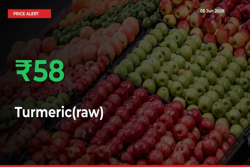 Sharp Jump! Turmeric(raw) Prices Climb 58.42% in 24 Hours at Key Mandis