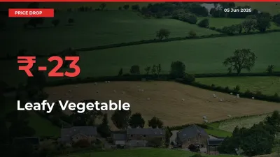 Leafy Vegetable Falls 22.86% at Mandis