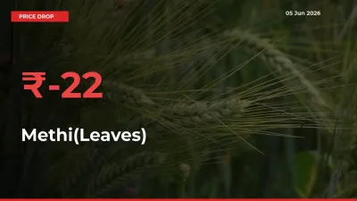 Methi(Leaves) Falls 22.49% at Mandis