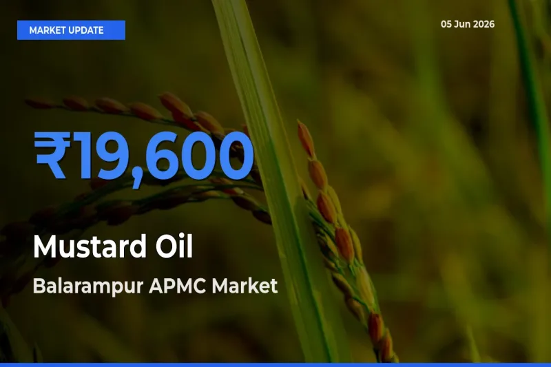 Top Performer! Balarampur APMC Offers Best Mustard Oil Price Today