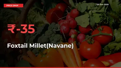 Sharp Fall! Foxtail Millet(Navane) Prices Plunge 35.49% in a Day at Key Mandis