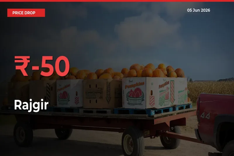 Rajgir Falls 50.09% at Mandis