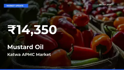 Sharp Fall! Mustard Oil Prices Drop to 30-Day Low in Katwa APMC