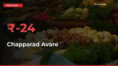 Sudden Shock! Chapparad Avare Drops 23.53% in 24 Hours at Top Mandis