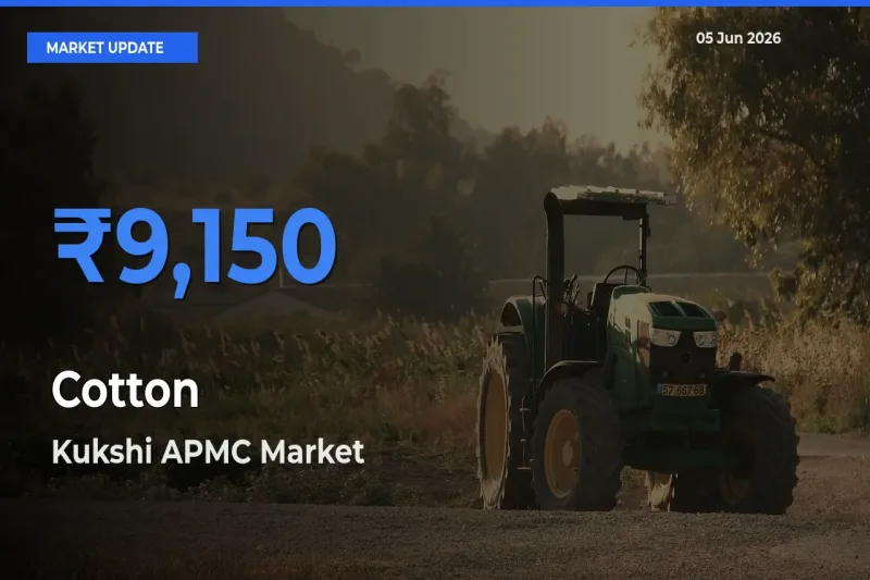 Kukshi APMC Tops Cotton Mandi Rates Today