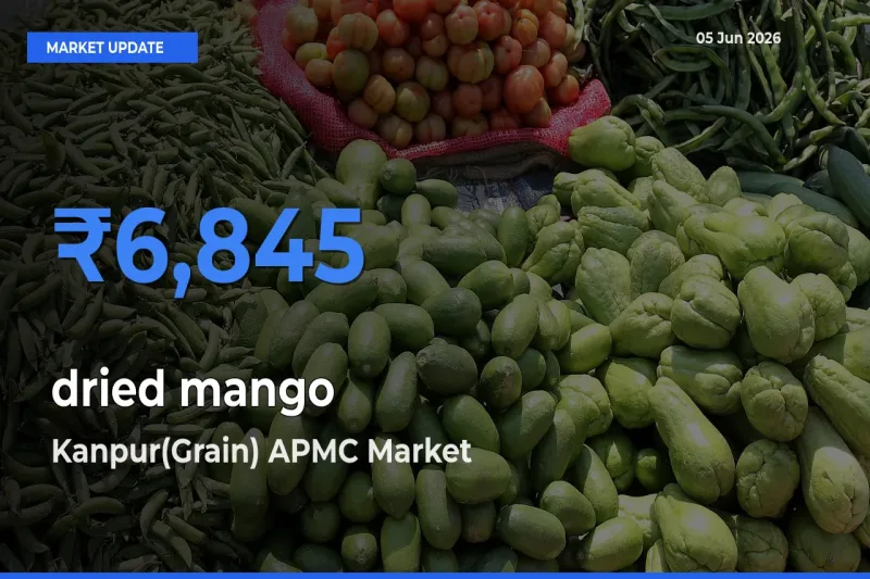 Kanpur(Grain) APMC Tops dried mango Mandi Rates Today