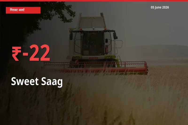 आज का मंडी भाव: मीठा साग के दाम मंडी में 21.55% नीचे