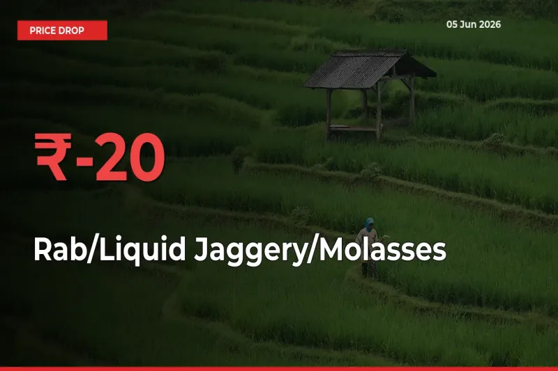 Farmers Alert as Rab/Liquid Jaggery/Molasses Prices Slide 19.8% in Local Mandis