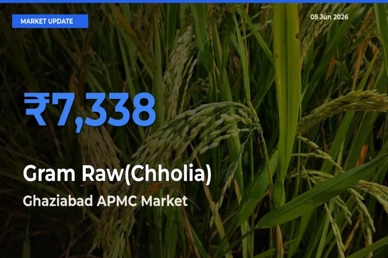 Ghaziabad APMC Tops Gram Raw(Chholia) Rates – June 05 Market Update