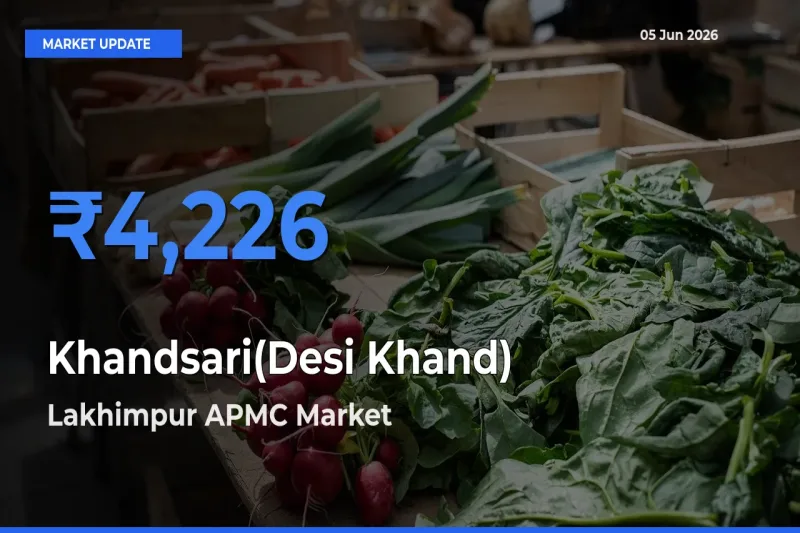 Market Watch: Lakhimpur APMC Becomes Top Mandi for Khandsari(Desi Khand)