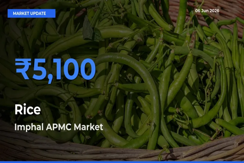 Market Watch: Imphal APMC Becomes Top Mandi for Rice