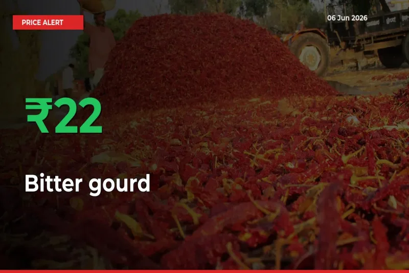 Bitter gourd Rises 21.92% at Mandis