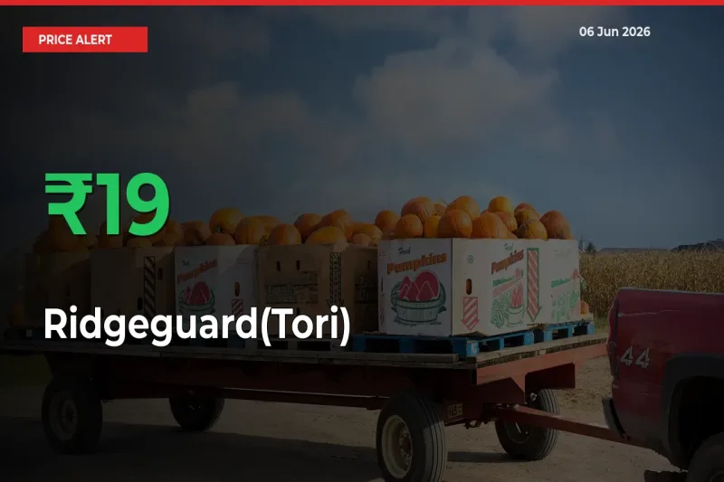 Farmers Cheer as Ridgeguard(Tori) Prices Surge 18.81% in Local Mandis