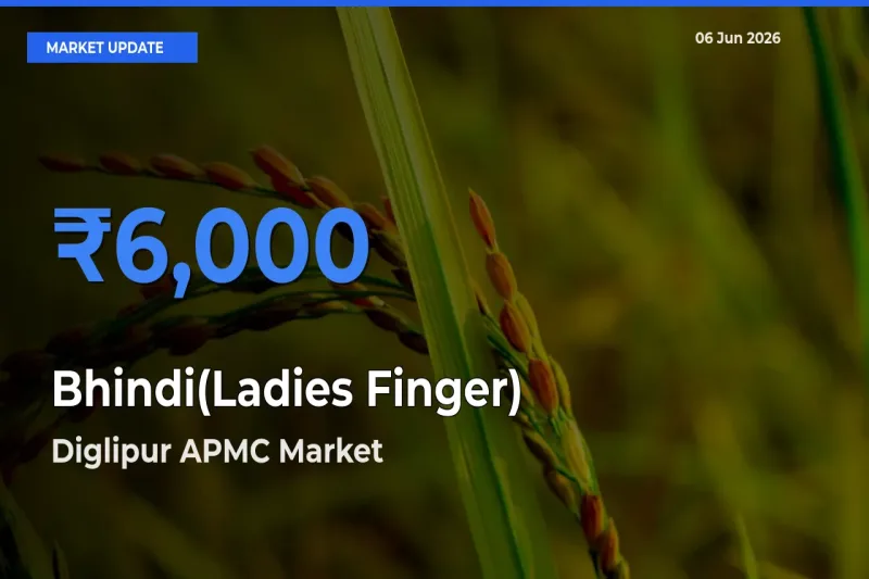 Diglipur APMC Tops Bhindi(Ladies Finger) Mandi Rates Today