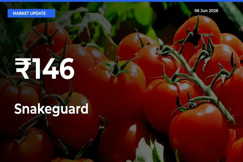 Snakeguard Mandi Prices Move in Sync Across Major Markets Today