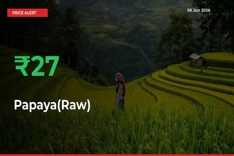Why Papaya(Raw) Prices Rose 26.95% in a Day at Mandis