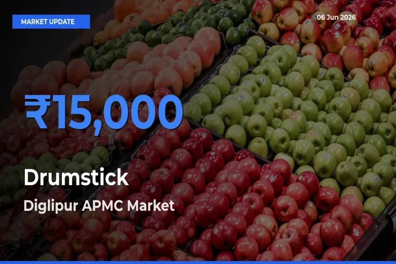 Market Watch: Diglipur APMC Becomes Top Mandi for Drumstick