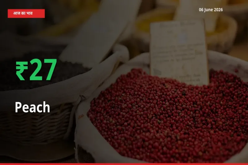 बाज़ार संकेत: आड़ू के भाव मंडी में 27.04% ऊपर