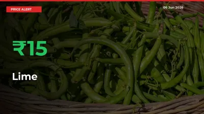 Lime Mandi Rate Today: Prices Jump 15.38% at Market