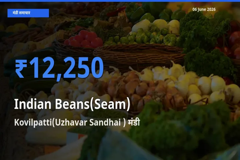 बाज़ार संकेत: Kovilpatti(Uzhavar Sandhai ) बना सेम (देशी) के लिए आज की टॉप मंडी