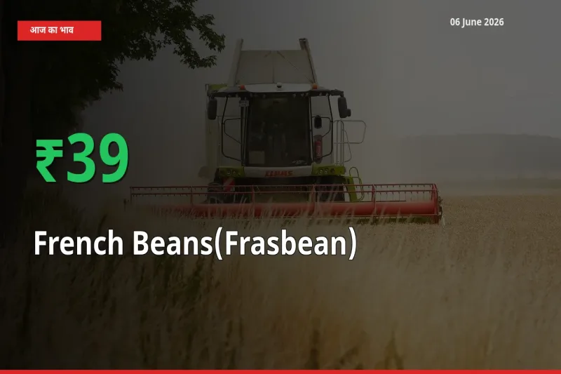 फ़्रेंच बीन्स (फ़्रासबीन) के दाम प्रमुख मंडी में 39.16% बढ़े, 24 घंटे में बड़ा बदलाव