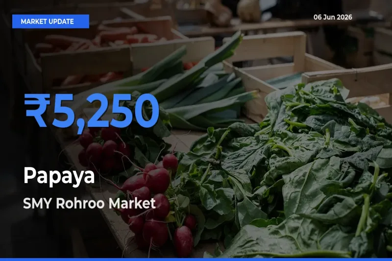 SMY Rohroo Tops Papaya Mandi Rates Today