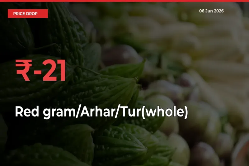 Sharp Fall! Red gram/Arhar/Tur(whole) Prices Plunge 21.29% in a Day at Key Mandis
