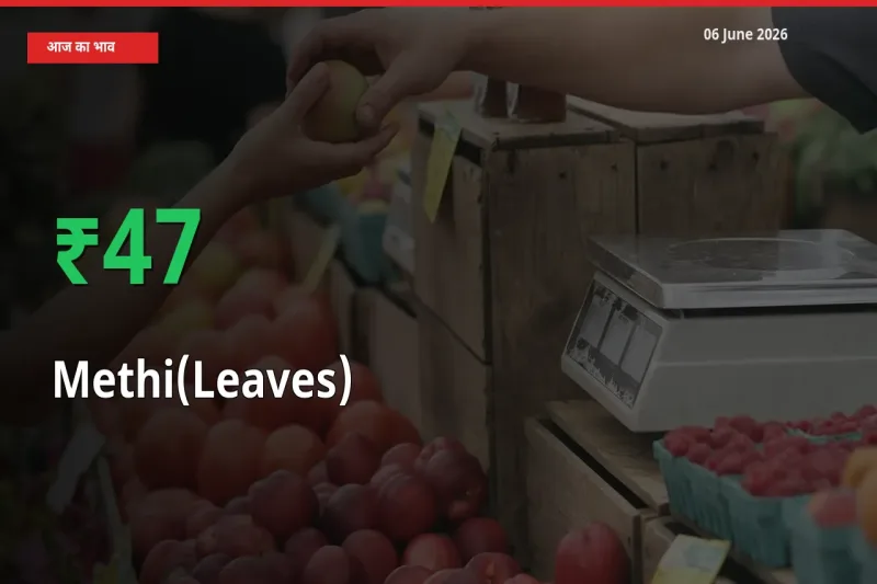 आज का मंडी भाव: हरी मेथी के दाम मंडी में 46.54% ऊपर