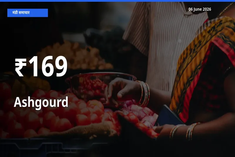 169+ मंडियों में पेठा कद्दू के दामों का एक जैसा ट्रेंड