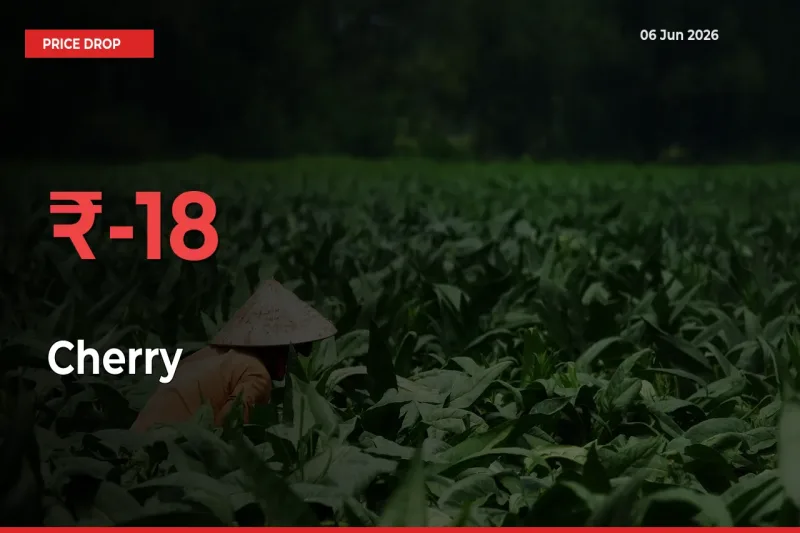 Cherry Prices Drop 17.99% in 24 Hours at Major Mandis