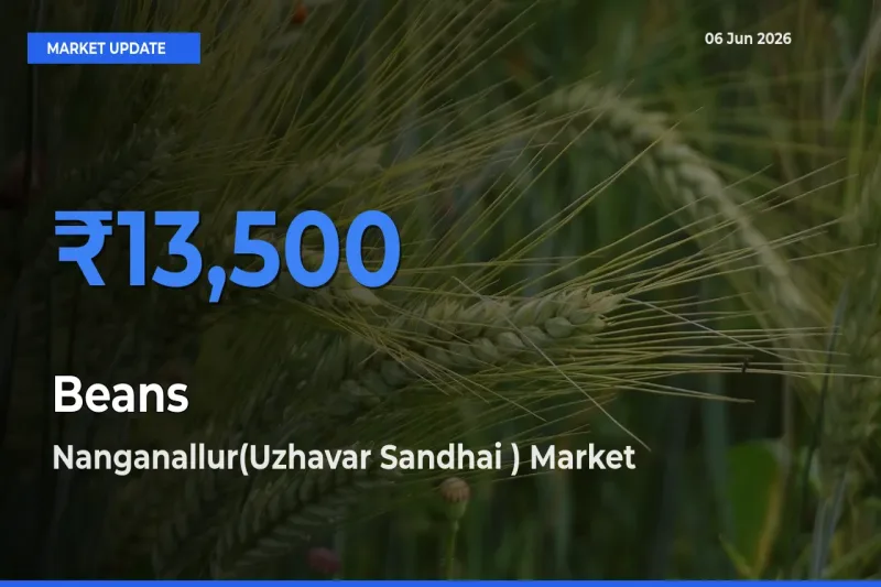 Market Watch: Nanganallur(Uzhavar Sandhai ) Becomes Top Mandi for Beans