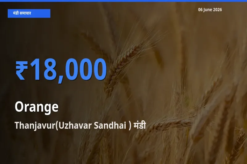 किसानों की पसंद बना Thanjavur(Uzhavar Sandhai ), संतरा के सबसे अच्छे दाम