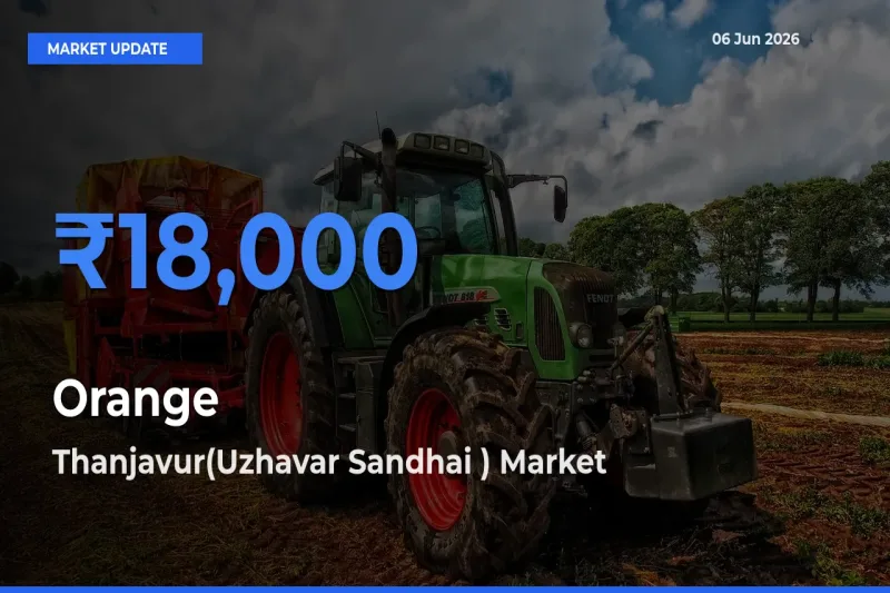 Thanjavur(Uzhavar Sandhai ) Records Highest ₹18,000 Rate for Orange