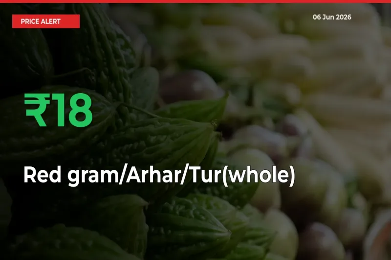 Sharp Jump! Red gram/Arhar/Tur(whole) Prices Climb 17.66% in 24 Hours at Key Mandis
