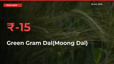 This Mandi Records 15.03% Fall in Green Gram Dal(Moong Dal) Prices