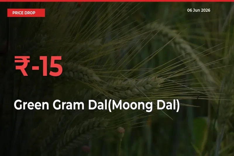 This Mandi Records 15.03% Fall in Green Gram Dal(Moong Dal) Prices