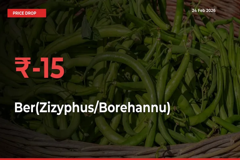 Ber(Zizyphus/Borehannu) Mandi Rate Today: Prices Fall 15.33% at Market