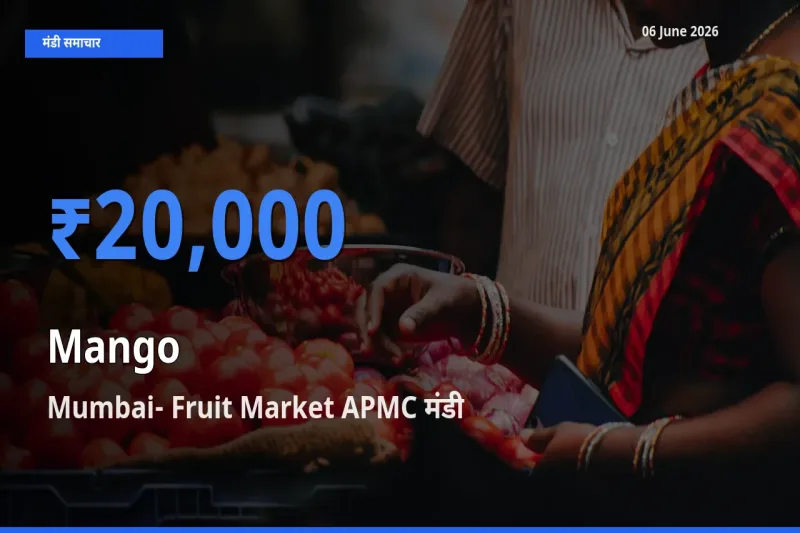 किसानों की पसंद बना Mumbai- Fruit Market APMC, आम के सबसे अच्छे दाम