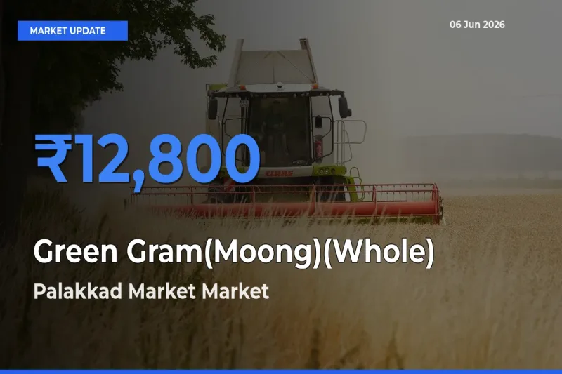Green Gram(Moong)(Whole) Mandi Rate Today: Palakkad Market Tops the List