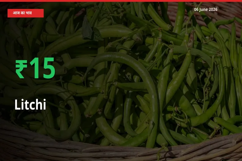 बाज़ार संकेत: लीची के भाव मंडी में 15.38% ऊपर