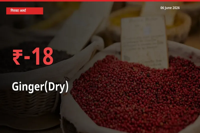 स्थानीय मंडी में अदरक (सूखा) के दाम अचानक 17.55% गिरे, किसानों की चिंता बढ़ी