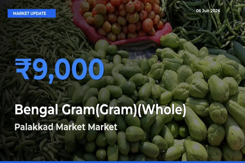 Palakkad Market Offers ₹9,000 – Highest Bengal Gram(Gram)(Whole) Rate Today