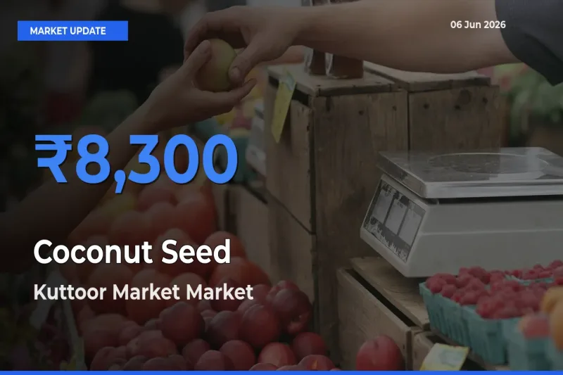 Kuttoor Market Offers ₹8,300 – Highest Coconut Seed Rate Today