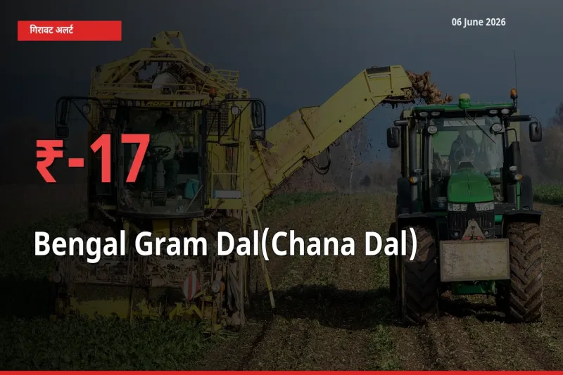 आज का मंडी भाव: चना दाल के दाम मंडी में 16.98% नीचे