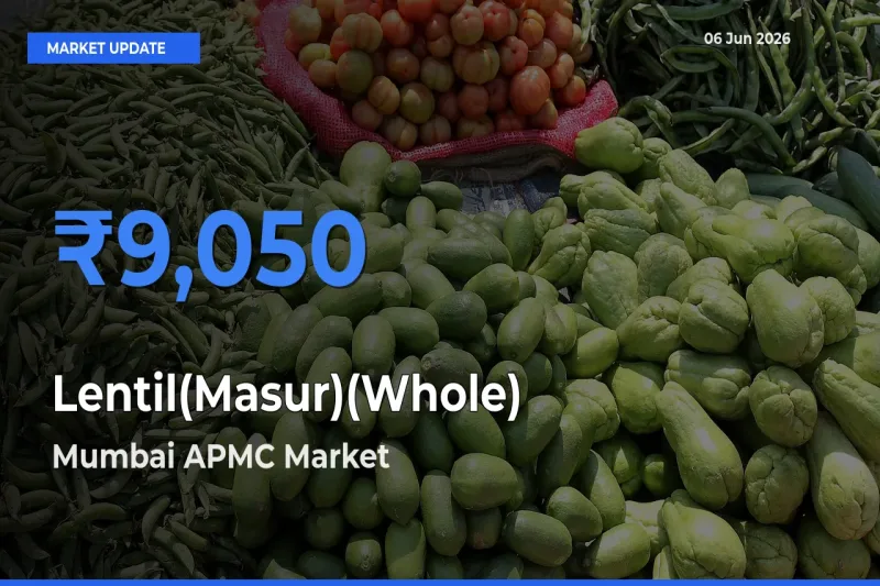 Mumbai APMC Tops Lentil(Masur)(Whole) Rates – June 06 Market Update