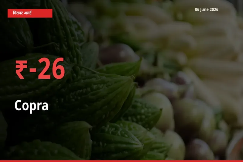 सूखा नारियल के दाम प्रमुख मंडी में 25.94% गिरे, 24 घंटे में बड़ा बदलाव