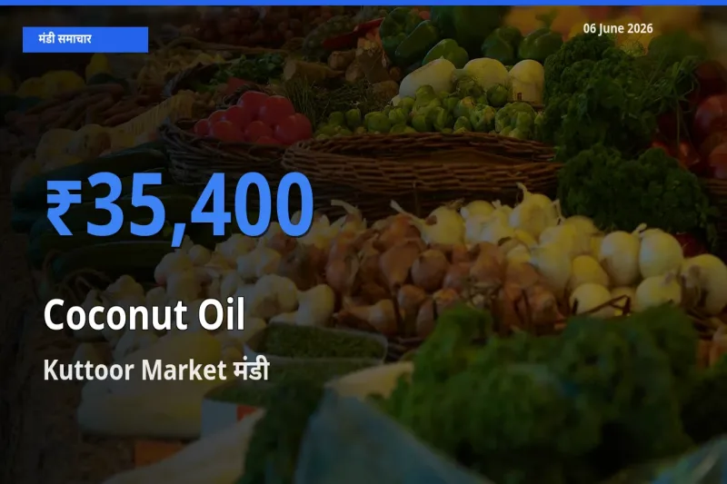 Kuttoor Market मंडी में आज नारियल का तेल के सबसे ऊँचे दाम दर्ज