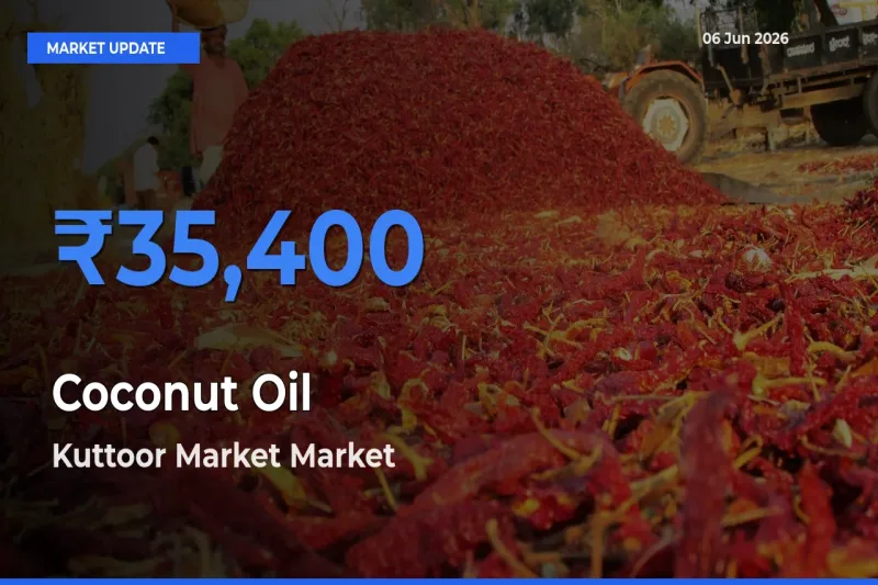 Kuttoor Market Tops Coconut Oil Mandi Rates Today